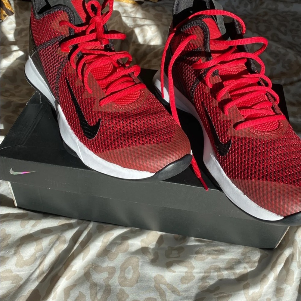 Sz 11 lebron witness IV